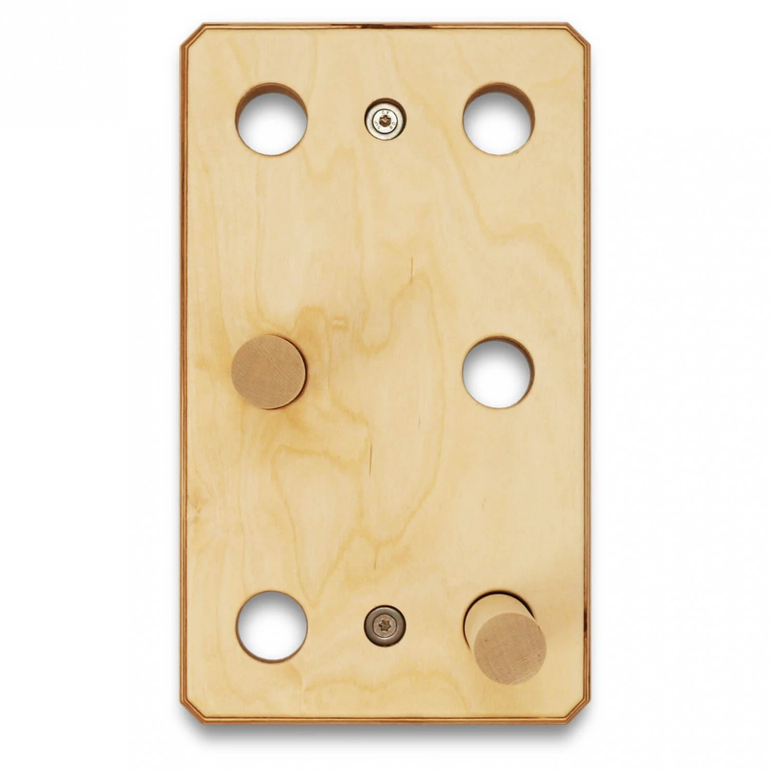 Ant Hill - Trainingsboard 2 Ant Hill - Trainingsboard – Bild 2