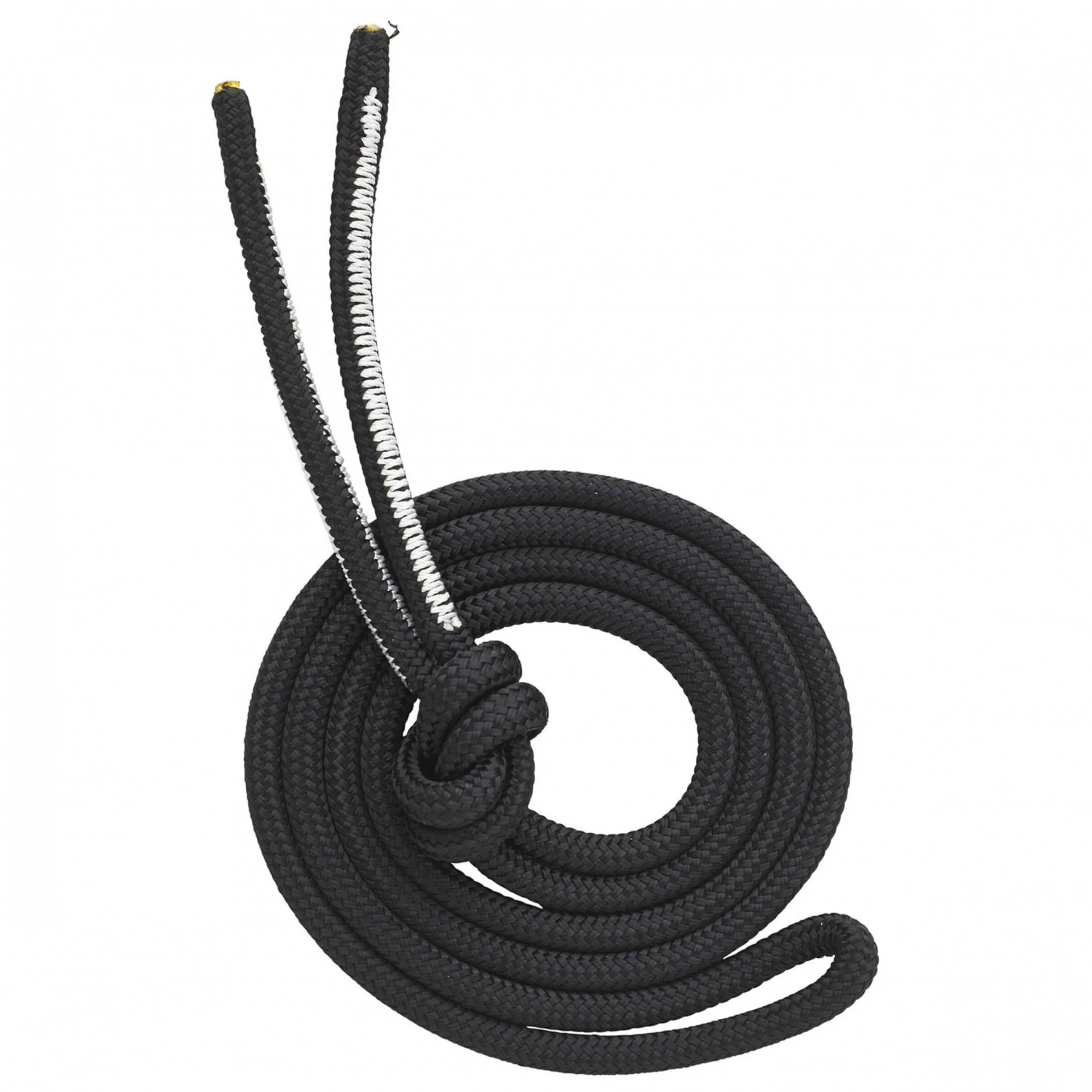 AustriAlpin Dyna.MIT Dyneema Reepschnur 6mm - Reepschnur 1 AustriAlpin Dyna.MIT Dyneema Reepschnur 6mm - Reepschnur