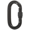 Black Diamond Oval Locker Carabiner - Schraubkarabiner