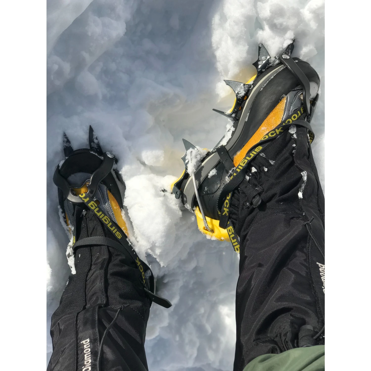 Black Diamond Sabretooth Edelstahl - Steigeisen 2 Black Diamond Sabretooth Edelstahl - Steigeisen – Bild 2