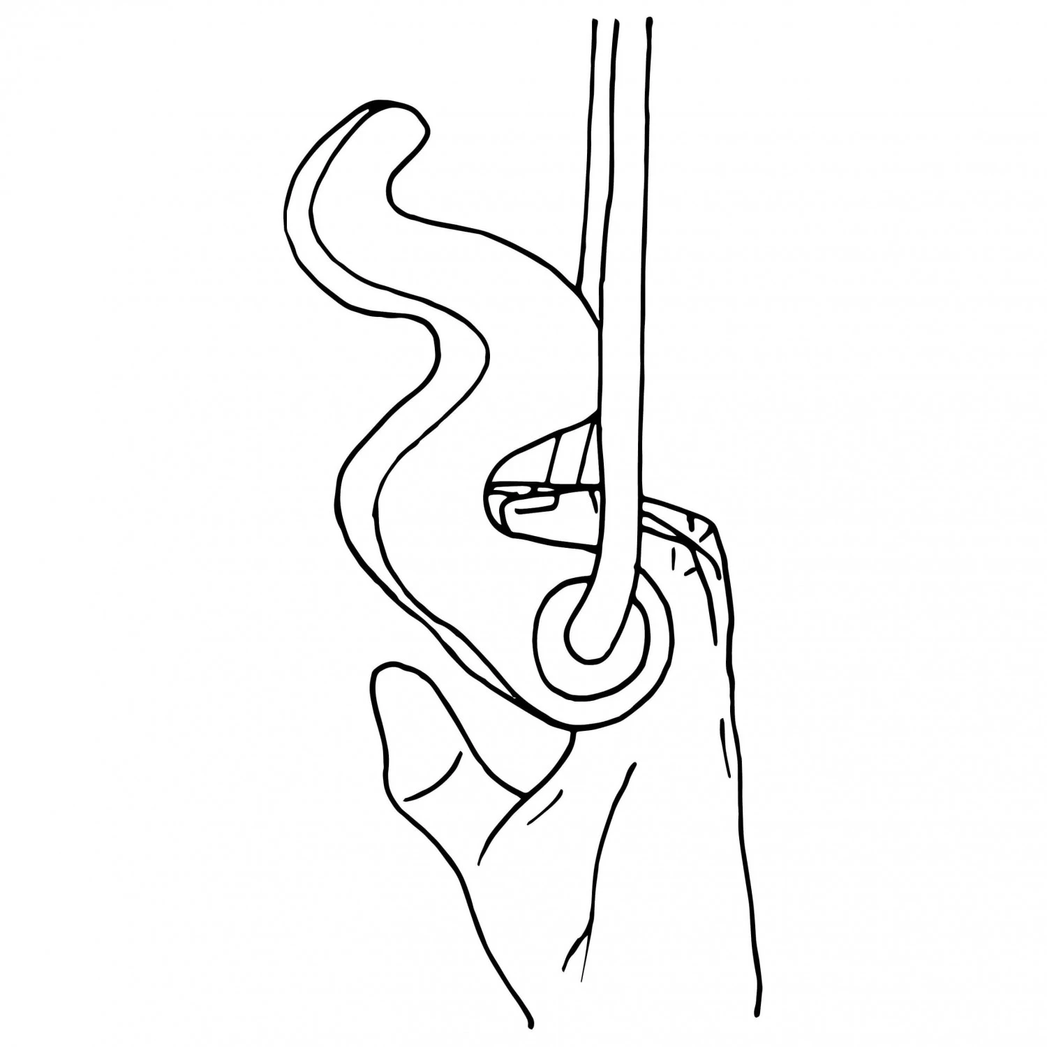 Max Climbing Maxgrip - Trainingsgriffe 5 Max Climbing Maxgrip - Trainingsgriffe – Bild 5